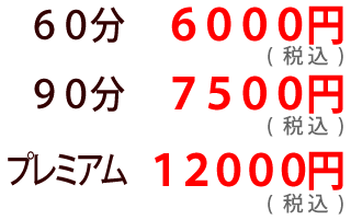 加圧・一般ビジタートレーニング料金